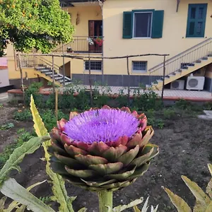https://antoniet.hotels-amalfi.com